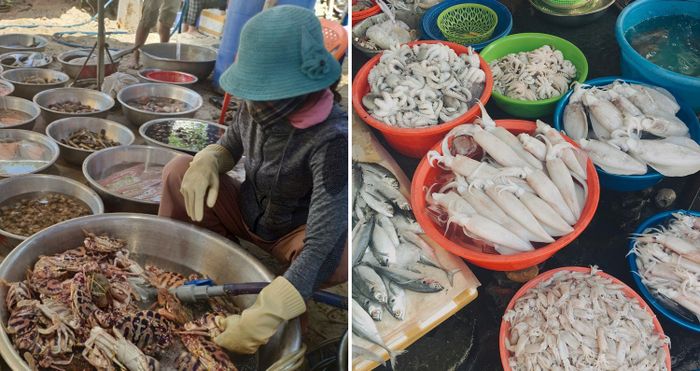 Chọn lựa top 5 chợ hải sản Vũng Tàu để thể hiện đẳng cấp ẩm thực của bạn ngay và luôn! 14