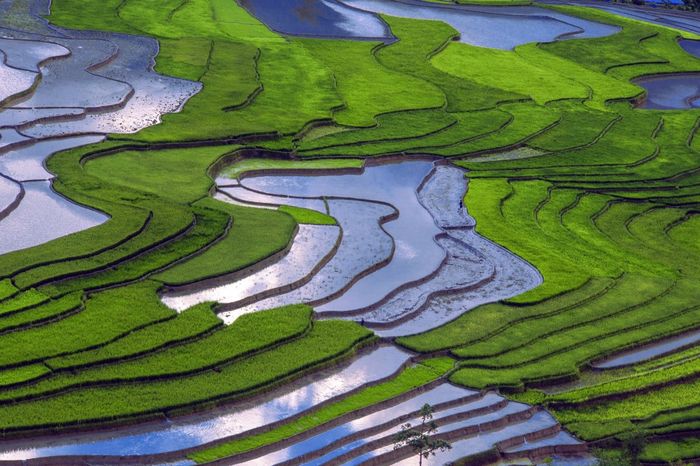 Bí kíp và Cẩm nang đến Tú Lệ 3