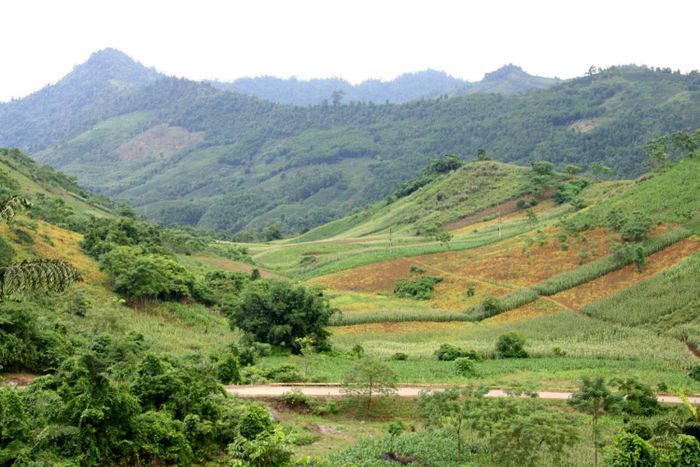 Khám phá Đèo Lũng Lô - Di tích lịch sử đầy ấn tượng 5