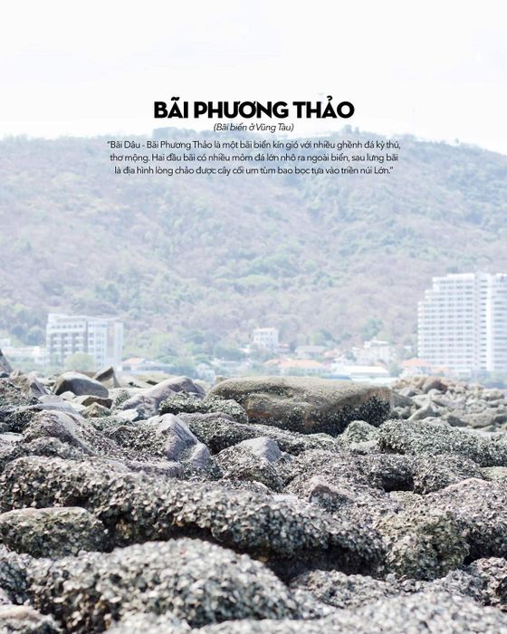 Bãi Dâu Vũng Tàu không chỉ có những con hẻm dễ thương, mà còn đầy những điều dễ thương khác.