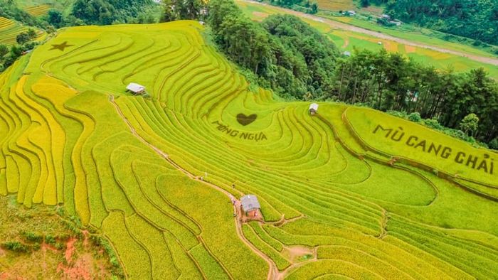 Khám phá vẻ đẹp lúa Mù Cang Chải không thể thiếu khi đến với Yên Bái