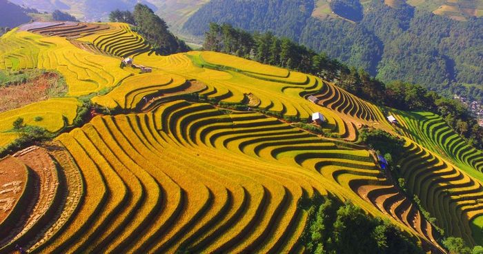 Đánh giá lịch trình Mù Cang Chải 2 Ngày 2 Đêm - Vui chơi với 1 triệu, bạn tin không? 6