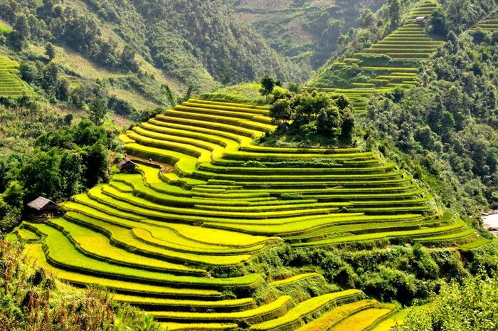 Kinh nghiệm du lịch Tú Lệ Yên Bái - Đóa nàng thơ của miền cao Tây Bắc 4