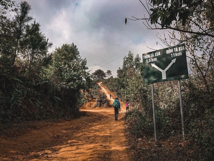 Bí quyết trekking Tà Xùa - Yên Bái cho đội phượt đam mê sống mạo hiểm 4
