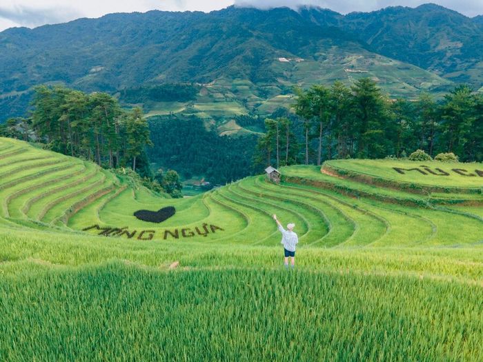 Khám phá Đồi Móng Ngựa, không gian thiên nhiên thanh tao tại Mù Cang Chải 7