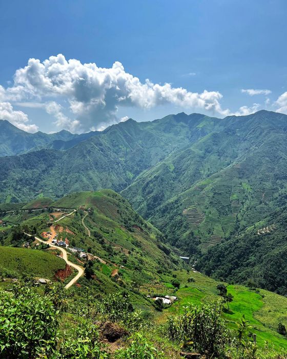 Thưởng ngoạn vẻ đẹp của Tà Xùa trong ngày không mây 10