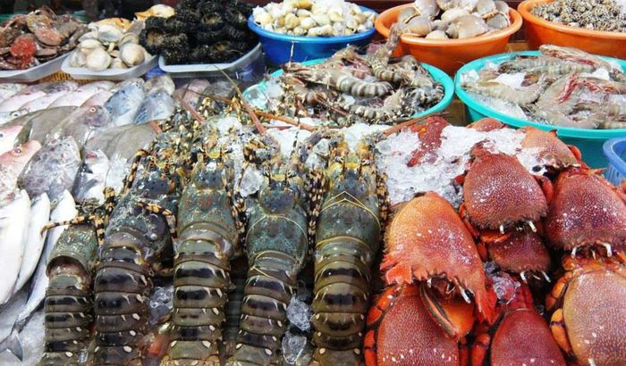 Nhớ ghi chú ngay 9 địa chỉ mua hải sản tươi sống Vũng Tàu để không bỏ lỡ cơ hội thưởng thức đặc sản tuyệt vời này.