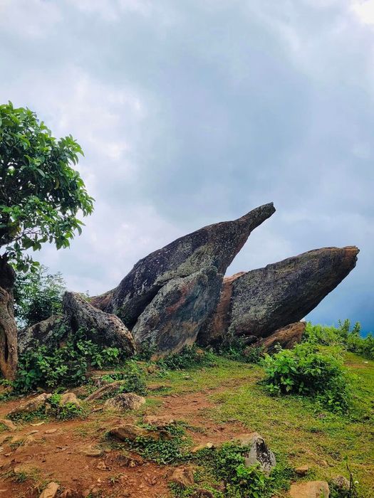 Hành trình 2N1Đ đến Tà Xùa qua những bức ảnh của Biên Thùy 4