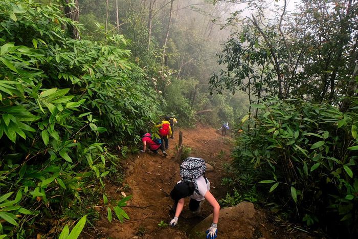 Kết thúc chương trình trekking Tà Xùa 3 ngày 2 đêm - 72 giờ leo núi săn mây 22