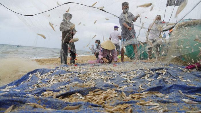 Nếu bạn muốn trải nghiệm một ngày đánh cá ra khơi, hãy tham gia cùng ngư dân làng chài xung quanh. Họ thường ra khơi vào buổi đêm, vì vậy hãy liên hệ với họ từ sớm. Nếu bạn không quen, hãy mang theo chăn hoặc áo ấm để giữ ấm cho cơ thể.