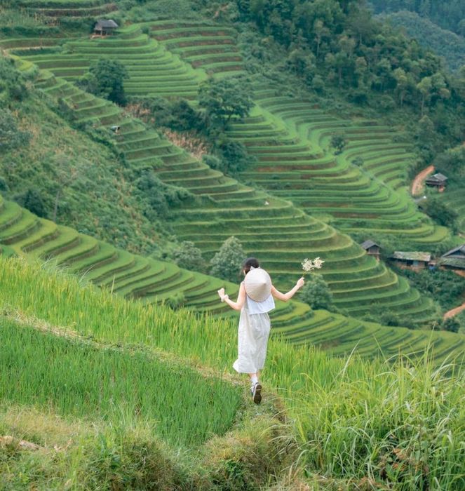Khám phá vẻ đẹp thơ mộng của Mù Cang Chải
