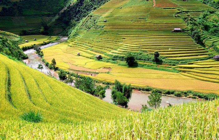 Bật mí đánh giá về Tú Lệ - Yên Bái không thể bỏ qua 2