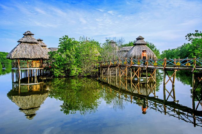 Bến tàu Marina Vũng Tàu - Điểm sống ảo đẹp tựa trời Tây 10