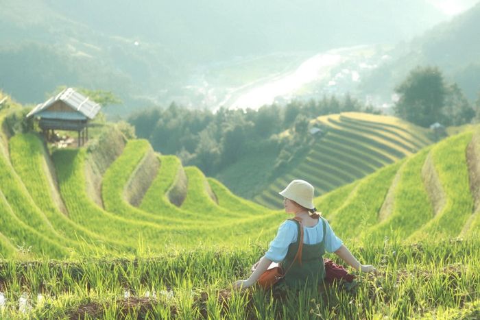Đánh giá Mù Cang Chải - Khám phá tự do không bị gò bó bởi lịch trình