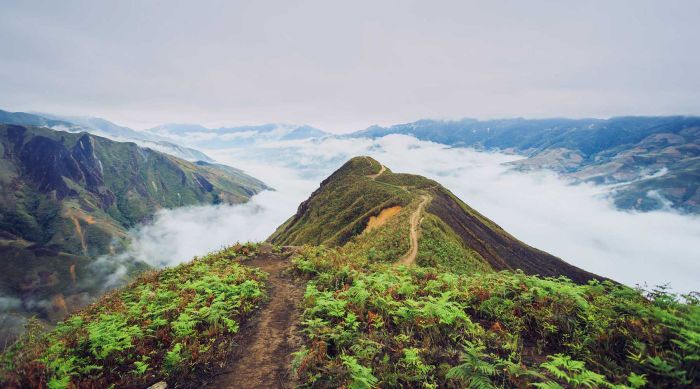 Cùng nhóm bạn thực hiện Lịch trình trekking Tà Xùa 4N3Đ để trải nghiệm những điều thú vị nhất.