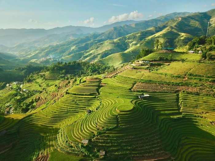 Ruộng bậc thang La Pán Tẩn - Rực rỡ mùa vàng lần 5
