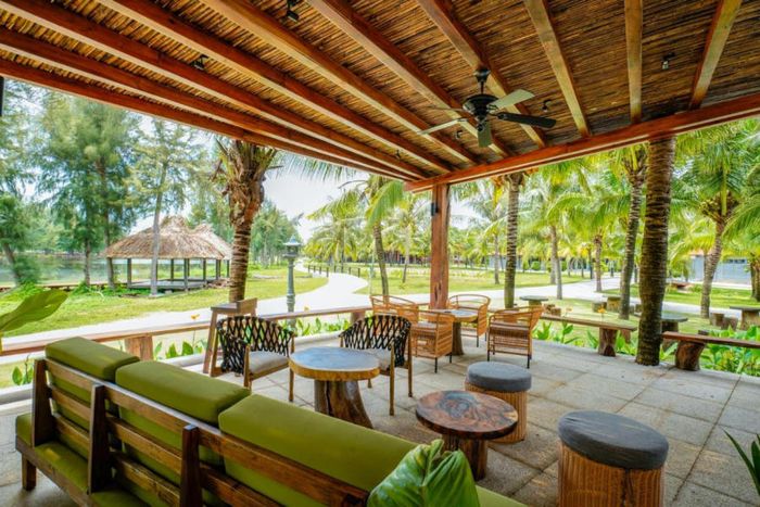 Trải nghiệm không thể quên khi đi Suối nước nóng Bình Châu từ A đến Z.