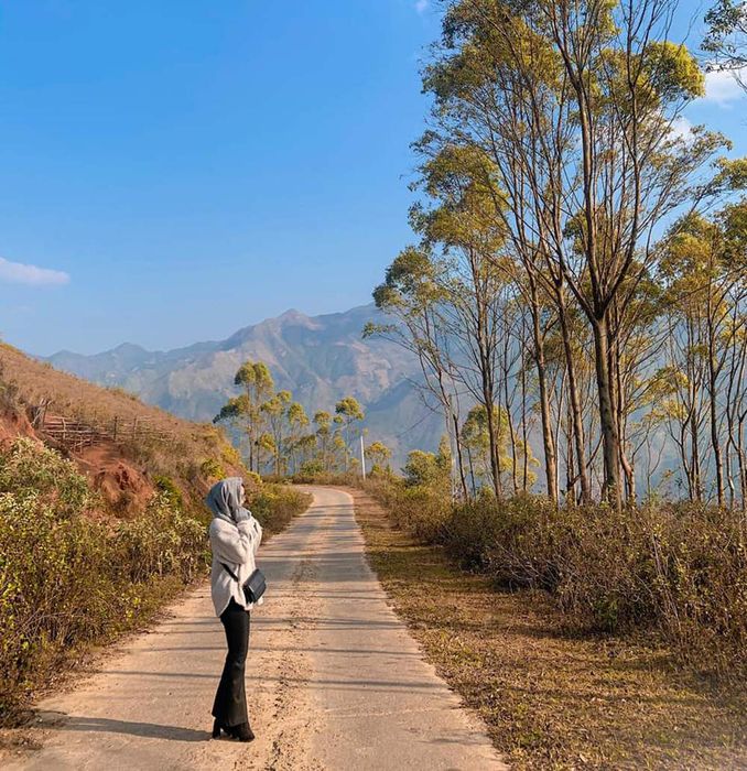 Hành trình 3 ngày trekking chinh phục Tà Xùa - Ghi lại trong trái tim