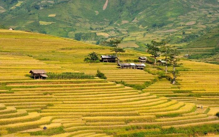 Kinh nghiệm và Hướng dẫn di chuyển đến Tú Lệ 2