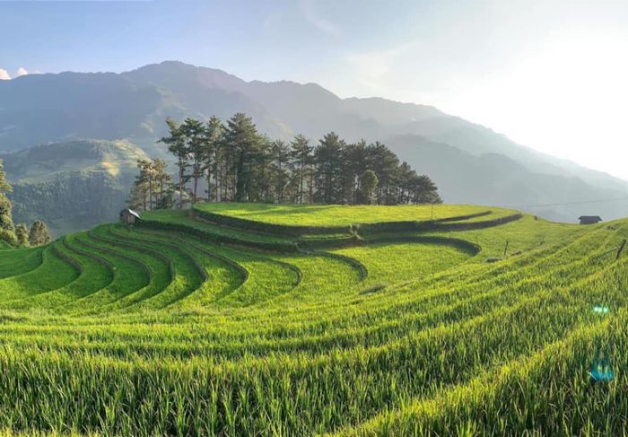 Đánh giá Mù Cang Chải - Hai ngày khám phá vùng đất trời Tây Bắc 3