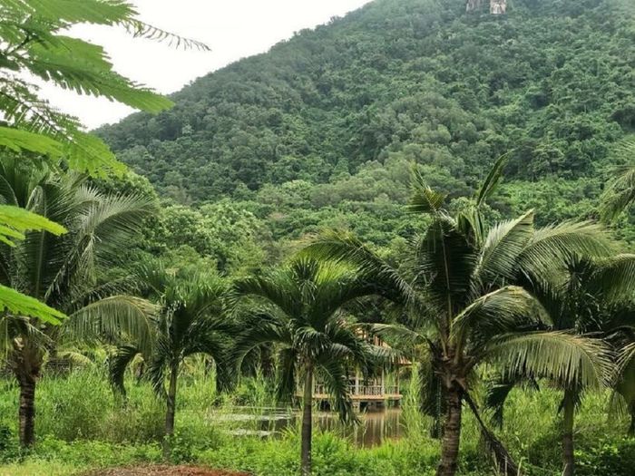 Safari núi Dinh Vũng Tàu: Nơi được gọi là Đà Lạt của miền Nam