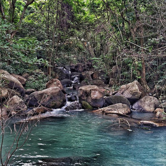 Safari núi Dinh Vũng Tàu: Được biết đến như Đà Lạt của miền Nam