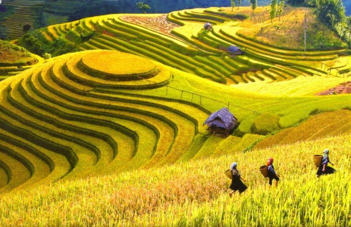 Ghi chú ngay kế hoạch chi tiết nhất cho chuyến đi Mù Cang Chải 3 ngày 2 đêm năm 2024