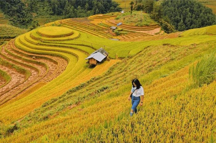 Đánh giá La Pán Tẩn - Lòng người xao xuyến trước ruộng bậc thang mùa vàng ấn tượng