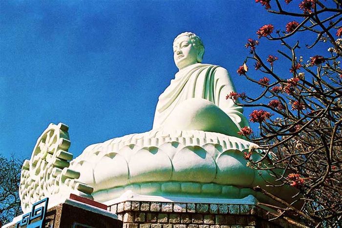 Danh sách 15 ngôi chùa Vũng Tàu mà khách hành hương không nên bỏ qua 3