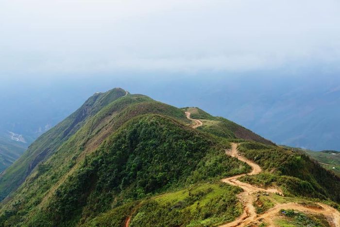 Tà Xùa vào những ngày không mây mang lại những trải nghiệm thú vị gì, bạn đã khám phá chưa?