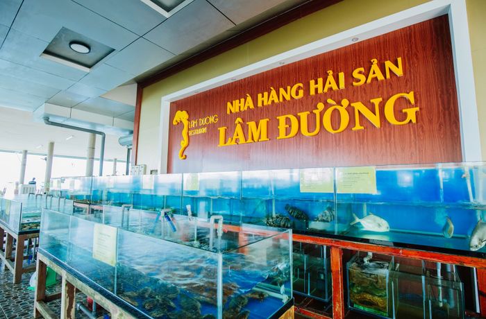Trải nghiệm bữa ăn tuyệt vời bên bờ biển tại nhà hàng hải sản Lâm Đường