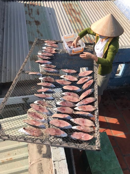 Cá ngừ một nắng Vũng Tàu - Món đặc sản biển với những ứng dụng hữu ích không ngờ