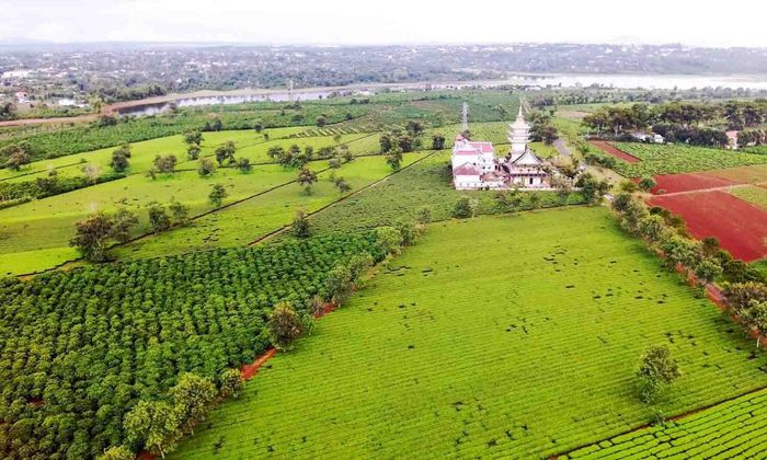 Khám phá Biển Hồ Chè giữa không gian rộng lớn của cao nguyên 6