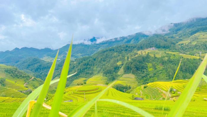 Khám phá Vẻ đẹp lôi cuốn của Ruộng bậc thang Mù Cang Chải 8