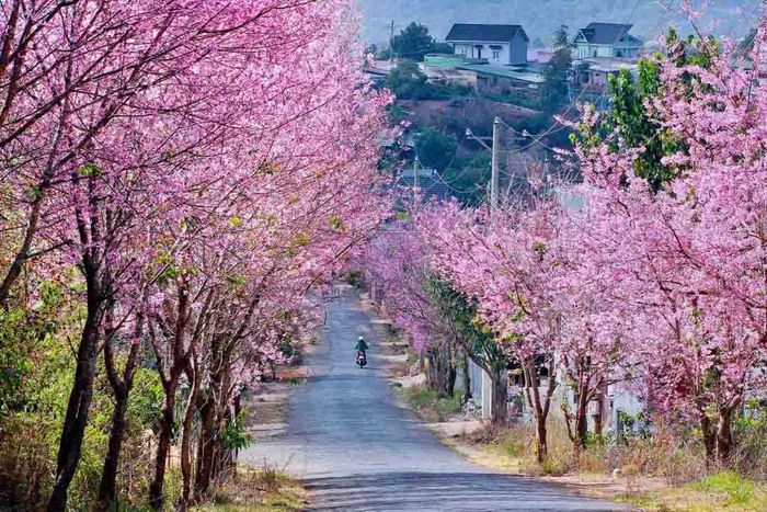 Những điều cần biết khi tự túc đến đèo Nước Ngọt Vũng Tàu