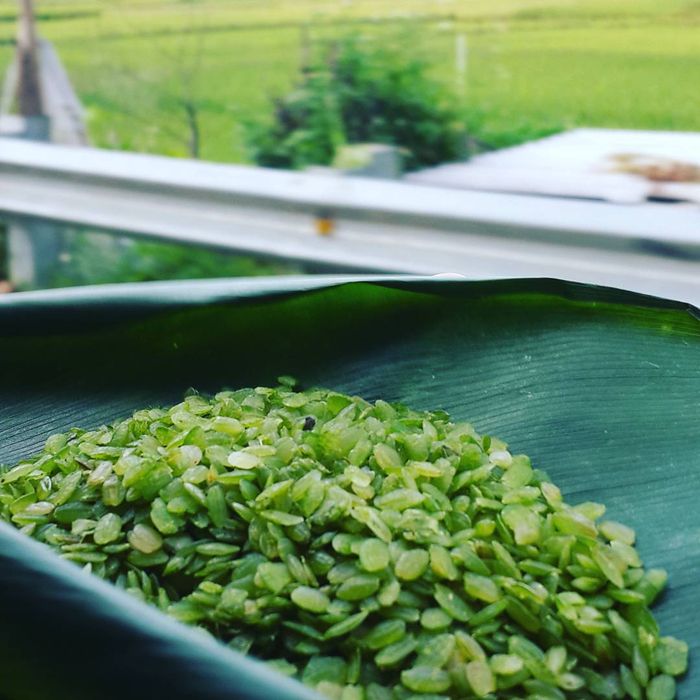 Trạm Tấu tự túc siêu đỉnh ở đây, số 7 lên sóng!