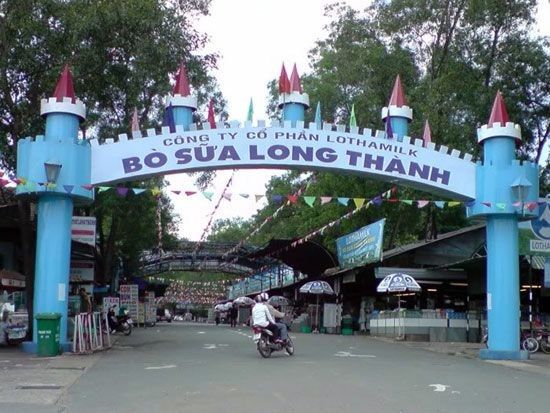 Khám phá 4 tuyến đường phượt đẹp từ Sài Gòn tới Vũng Tàu