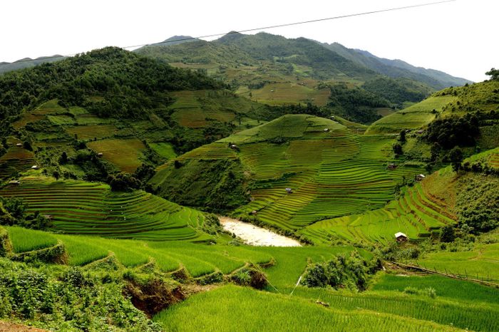 Khám phá vẻ đẹp của Ruộng bậc thang ở xã Zế Xu Phình, một điểm đến lôi cuốn lòng người 2