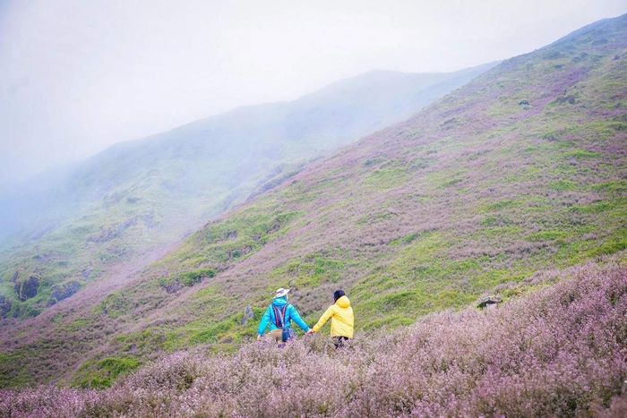 Chương trình trekking Tà Chì Nhù 3 ngày 2 đêm - Đỉnh núi cao thứ 7 Việt Nam