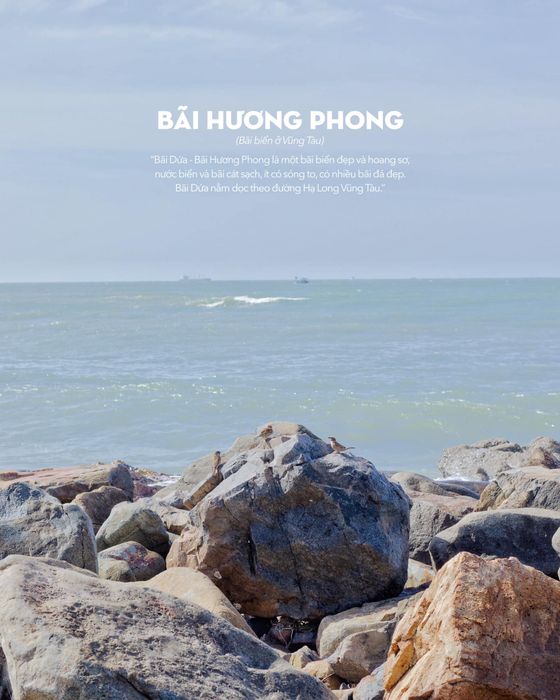 Nhớ nhìn ngang, nhìn dọc chớ quên mấy điều dễ thương tại Bãi Dứa Vũng Tàu 6