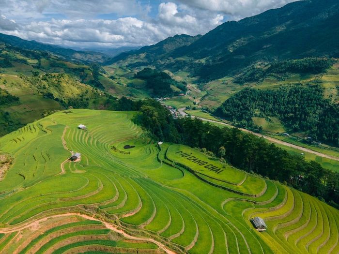 Khám phá Đồi Móng Ngựa, không gian thiên nhiên thanh tao tại Mù Cang Chải 6