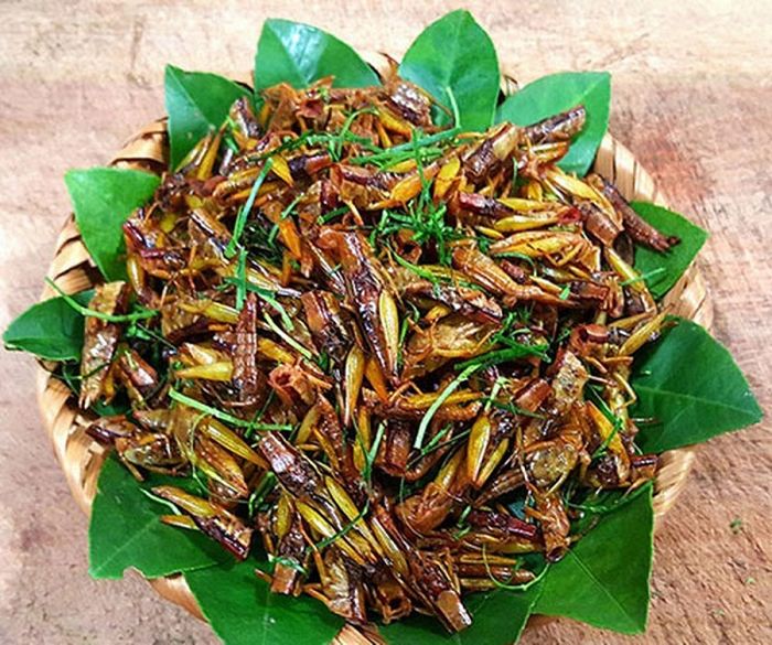 Danh sách 15 đặc sản Yên Bái độc đáo đậm chất núi rừng