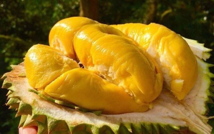 Những thương hiệu đặc sản Vĩnh Long nổi tiếng khắp mọi nơi