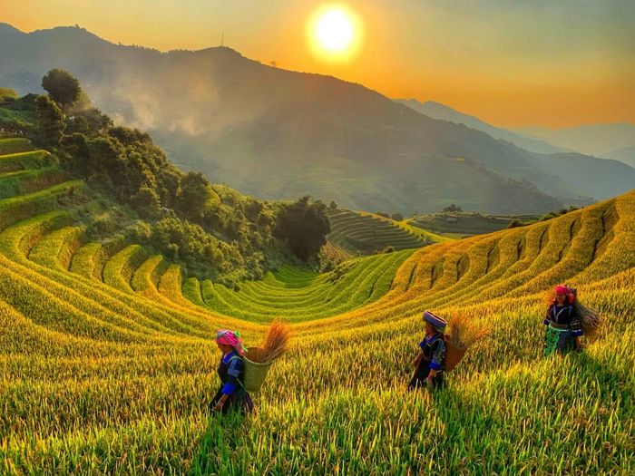 Hành trình Mù Cang Chải 3N2Đ tự túc cam kết mang lại niềm vui tột cùng!