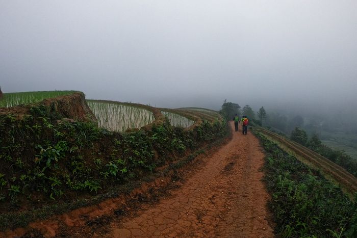 Khám phá hành trình trekking Tà Xùa 3 ngày 2 đêm - 72 giờ leo núi săn mây 23
