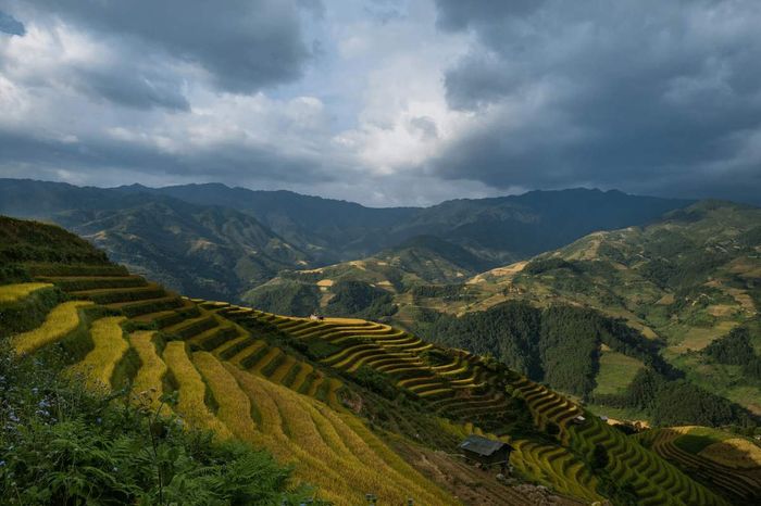 Tiết lộ đánh giá Tú Lệ - Yên Bái không thể bỏ lỡ 8