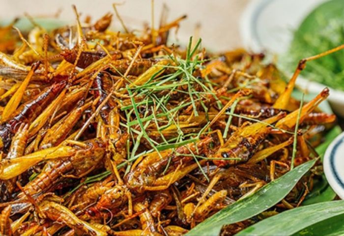 Muồm muỗm rang Mường Lò - Một đặc sản nổi tiếng của Yên Bái