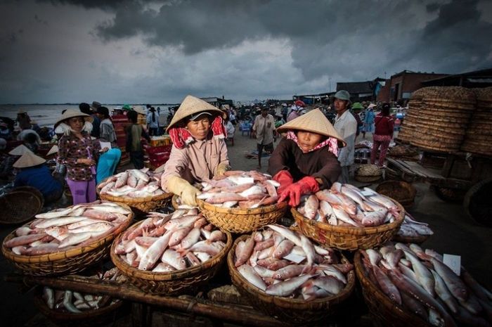 Những gợi ý hữu ích khi tự túc đi đèo Nước Ngọt Vũng Tàu