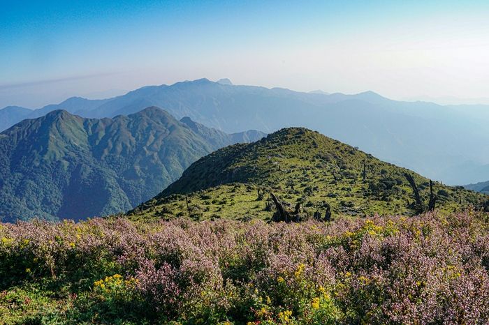 Tham gia Mytour.vn khám phá Mùa hoa tím trên đỉnh Tà Chì Nhù