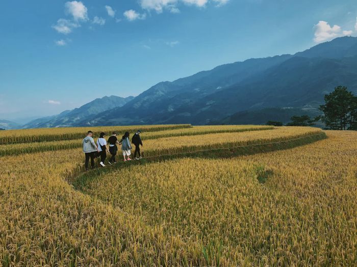 Trải nghiệm vẻ đẹp của Mù Cang Chải khi cuối mùa lúa chín, làm say đắm lòng người.